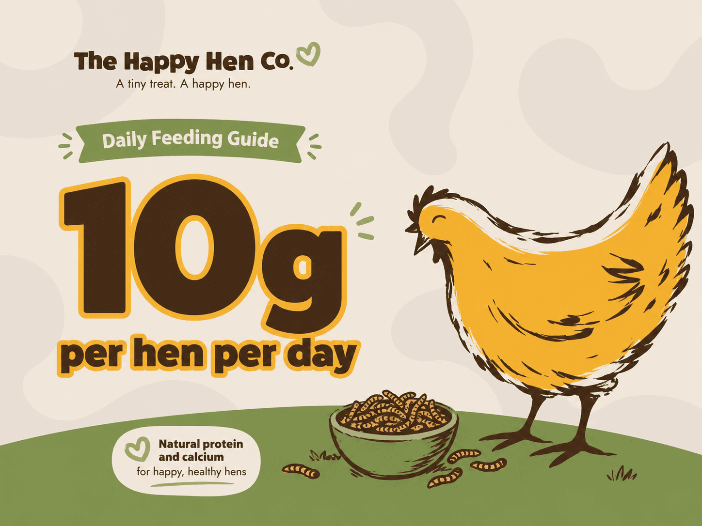 The Happy Hen Co. Daily Feeding Guide graphic showing 10g of Live Calci Worms per hen per day