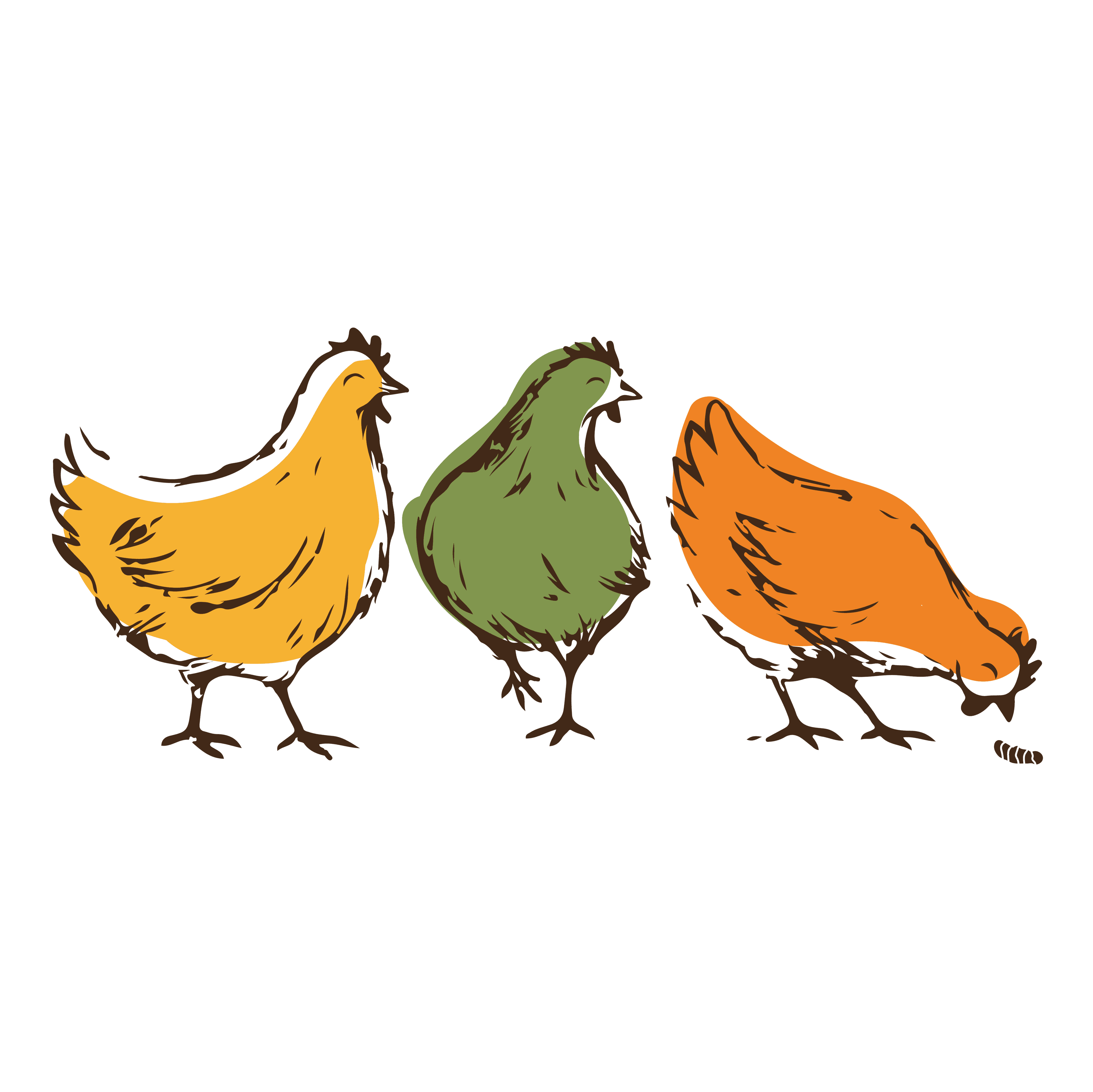 The Happy Hen Co. hen ambassadors Henrietta, Edwina and Nigella