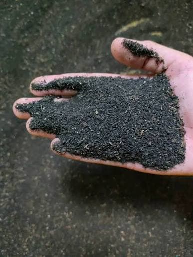 Close-up of Superfrass black soldier fly frass soil conditioner