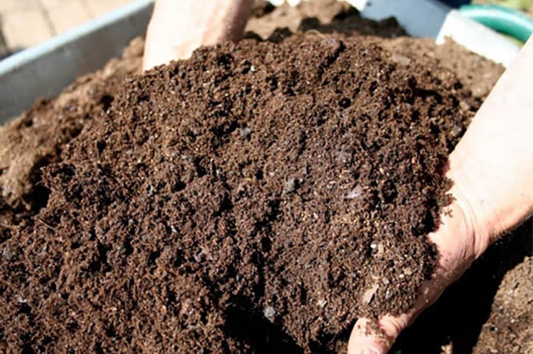 Loose Superfrass mixed into peat-free compost and leaf mould