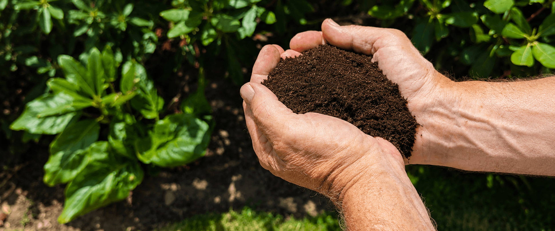 Loose Superfrass Original Soil Conditioner showing coarse black soldier fly frass texture