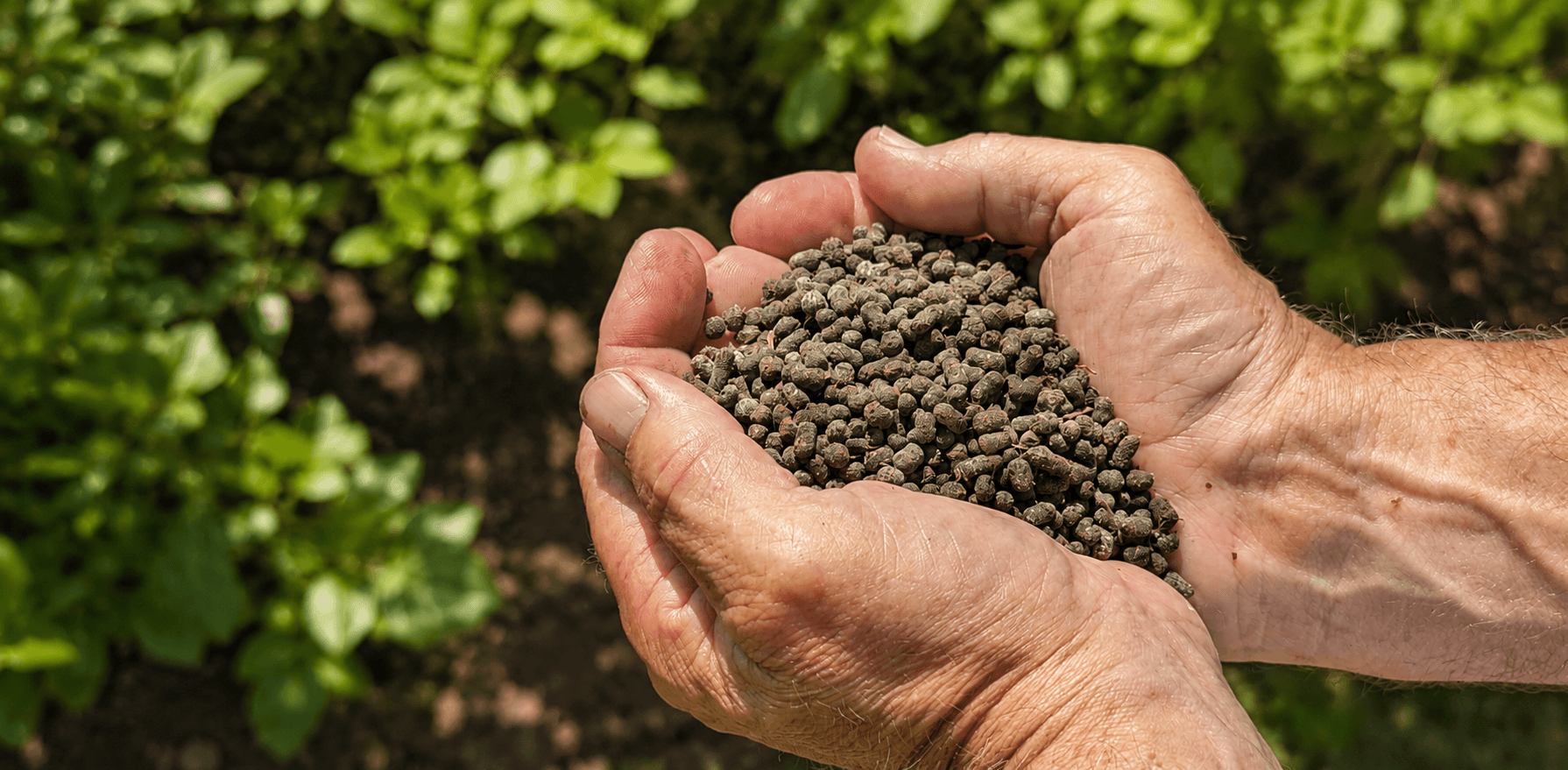 Superfrass Pellets for slow-release garden soil conditioning